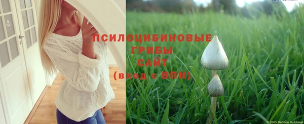 марки nbome Алзамай