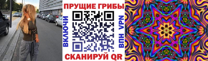 omg маркетплейс  Набережные Челны  Псилоцибиновые грибы прущие грибы 